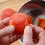 Pennettine rigate estive