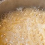 Pennettine rigate estive