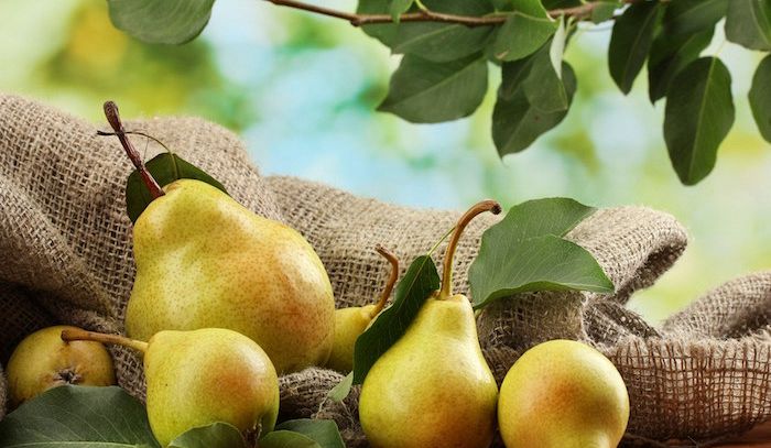 Pere, caratteristiche e ricette