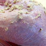 Petto di tacchino alle verdure