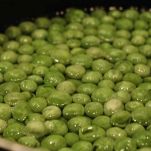 Petto di tacchino alle verdure