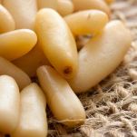 Pinoli, caratteristiche e ricette