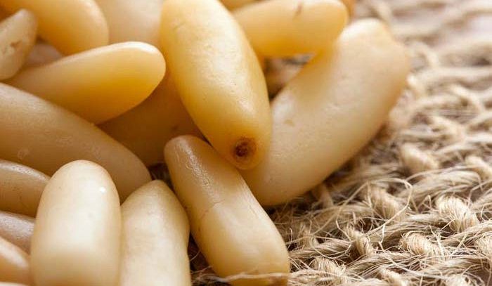 Pinoli, caratteristiche e ricette