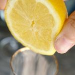 Pollo alla diavola all’agro