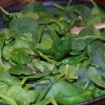 Spinaci