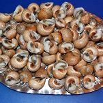 Risotto con lumache di mare