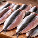 pulizia delle sarde per rose di mare