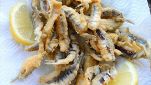 Sarde fritte alla palermitana