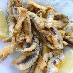 Sarde fritte alla palermitana