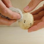 Scaloppe di vitello con funghi