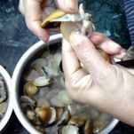 Sformato di riso ai frutti di mare