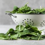 Scolapasta con spinacini crudi e foglie sul tavolo