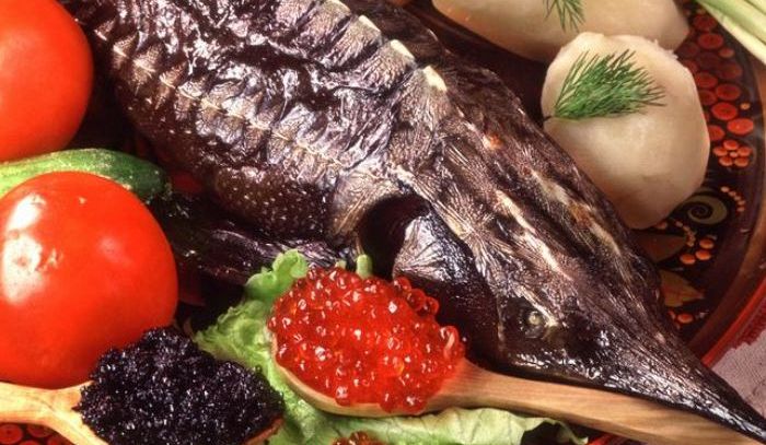 Storione, caratteristiche e ricette