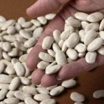 Zuppa di fagioli freschi