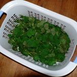 Zuppa di ortiche e d&#8217;orzo