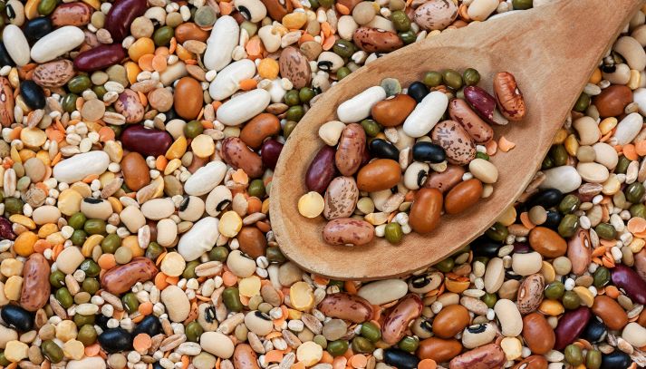 Legumi: caratteristiche, varietà e ricette