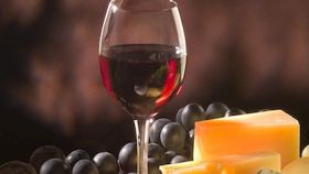 Mini dizionario enologico: le parole per capire i vini