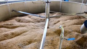 Produzione del whisky: la fase di maltaggio (o malting)