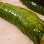 Insalata di pasta con verdure estive grigliate