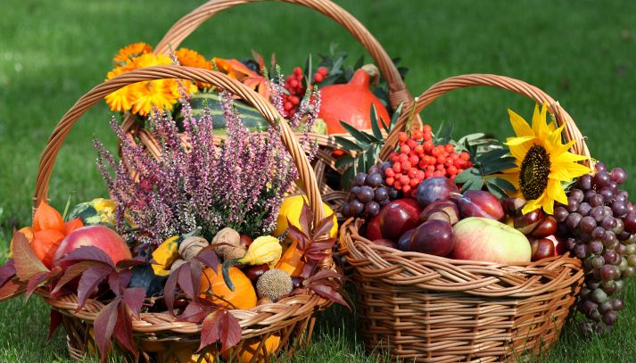 Frutta e verdura del mese di Novembre