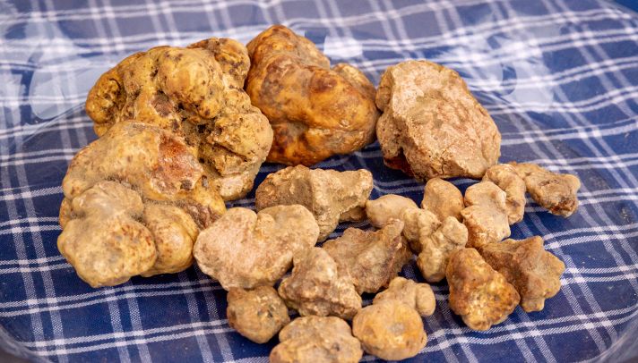 Quanto Costa 1 Kg Di Tartufo Bianco