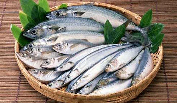 Teniamoci In Forma Con Il Pesce Azzurro La Rubrica Di Buonissimo
