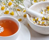 Una tazza bianca con infuso di camomilla in basso a sinistra; una scodella riempita di fiori di camomilla in alto a destra; intorno rametti di camomilla