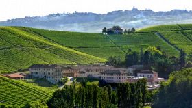 I vini del Piemonte