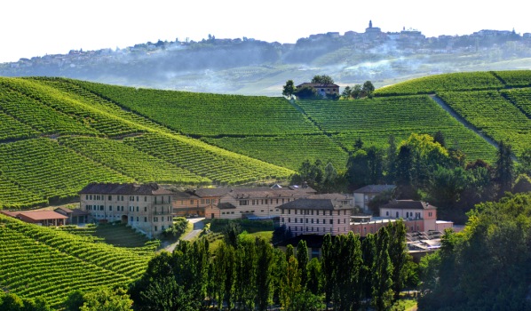 I vini del Piemonte