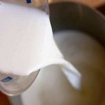 Risotto tartufato piemontese