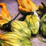 Fiori di zucca ripieni al forno