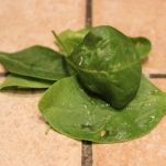 Strudel salato agli spinaci