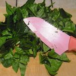 Strudel salato agli spinaci