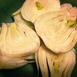 Cotoletta di finocchi