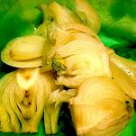 Cotoletta di finocchi