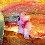 Hamburger mari e monti