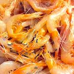 Insalata di mare alla siciliana