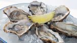 Ricetta Ostriche al limone e pepe