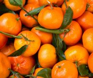 Clementine appena raccolte con scorza integra di colore arancione e foglie verdi attaccate al picciolo, fresche e pronte per essere consumate
