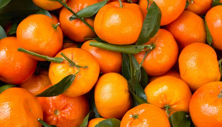 Clementine appena raccolte con scorza integra di colore arancione e foglie verdi attaccate al picciolo, fresche e pronte per essere consumate