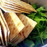 Cheesecake salata con squacquerone e rucola