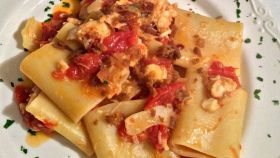 Paccheri con coda di rospo, pomodorini e bottarga