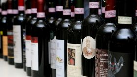 I vini DOC della Valtellina in Lombardia