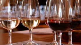 IL NASO DEL VINO: dal vitigno al bicchiere