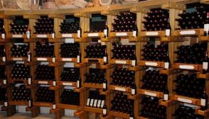 I vini DOC del Levante in Liguria