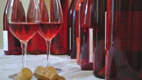 I vini  DOC di Pescara in Abruzzo