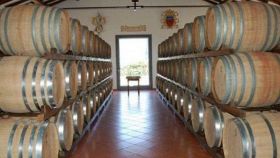 I vini DOC di Matera in Basilicata