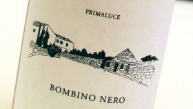 I vini DOC di Barletta-Andria-Trani in Puglia
