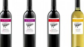 I vini DOC di Brindisi in Puglia