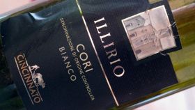 I vini DOC di Latina nel Lazio